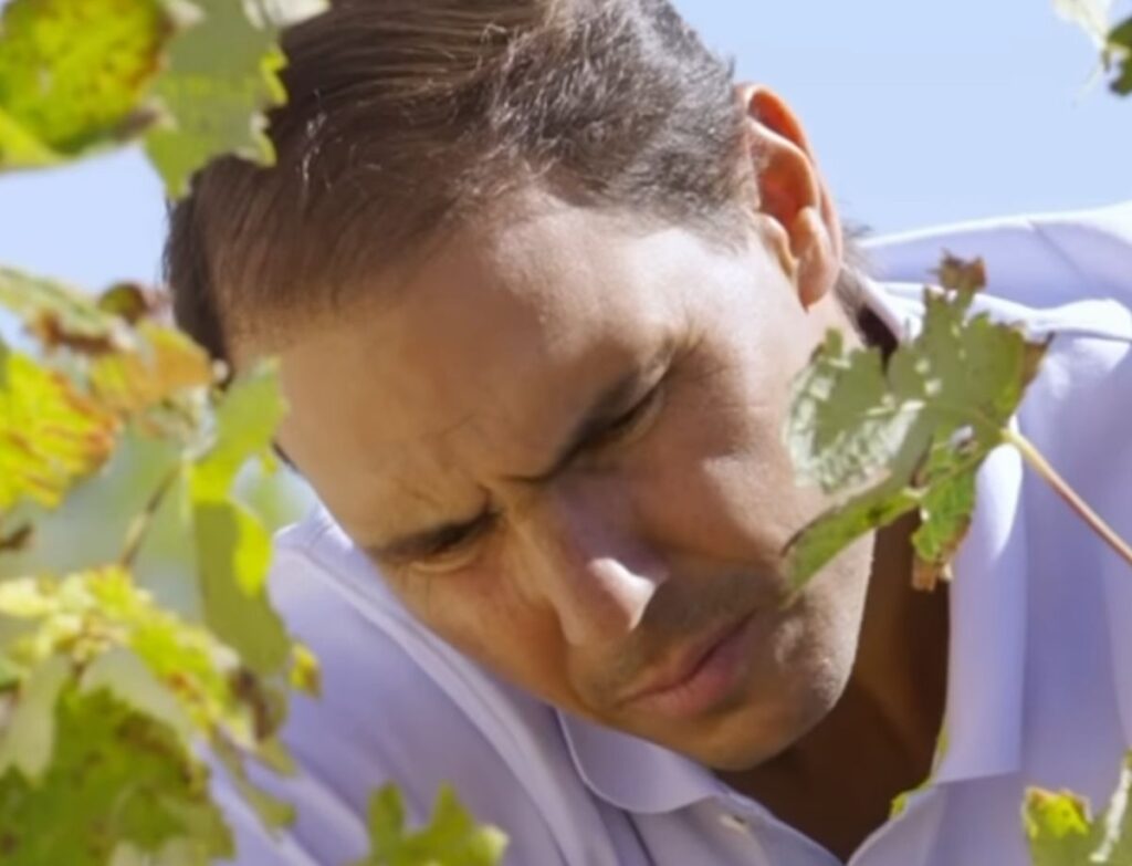 La nuova vita di Rafa Nadal dopo 22 Slam è un vino da collezione (dal nome inconfondibile) Nadal tra le vigne